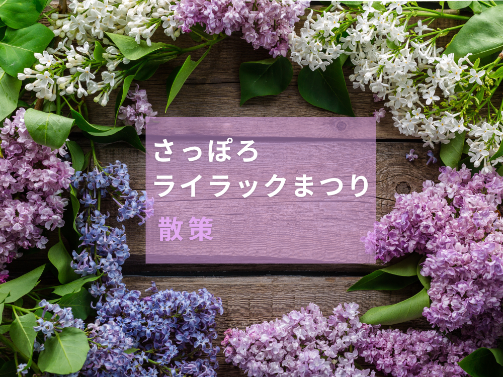 さっぽろライラックまつり散策🚶‍♂️✨